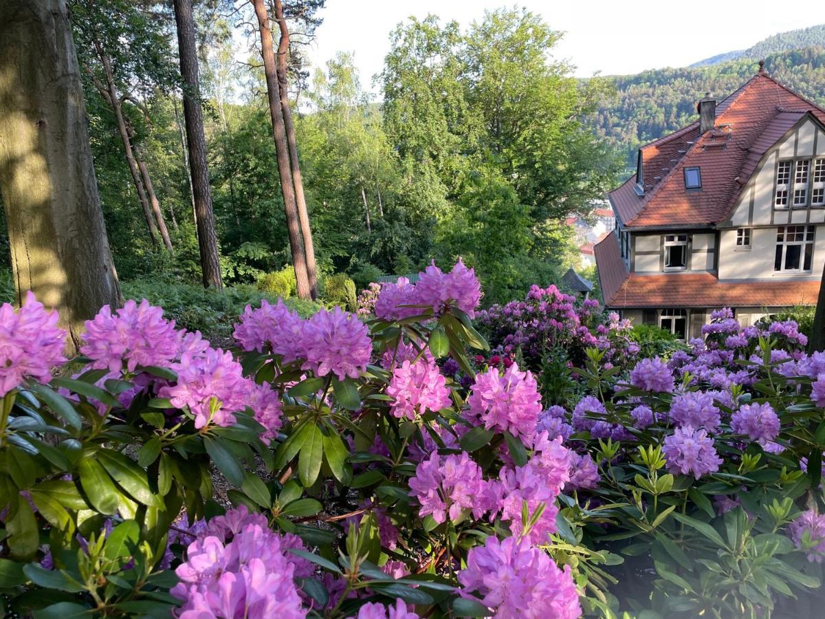 Villa Sonnenburg Bad Schandau Buitenkant foto